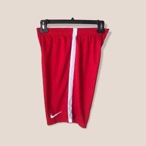 Nike Dri-FIT Shorts, Small